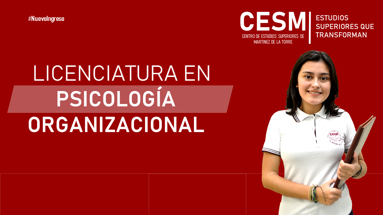 bachillerato asistente